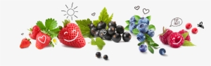 This Natural Berry Expanded In South America Has Lots - Sauna-duftkonzentrat Schwarze Johannisbeere