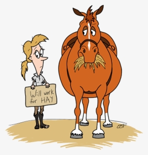 Bleed Area May Not Be Visible - New Forest Horses Funny