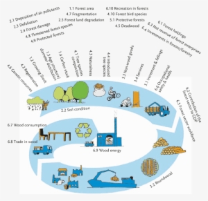 Current Pan-european Indicators For Sustainable Forest - Forest
