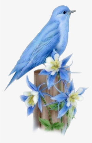 << Blue Bird, - Gifs