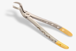 Source - - Dental Instruments Png