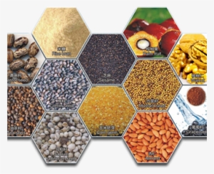 Why Does Edible Oil Have Different Condensation Point - Food Oil Banner Png