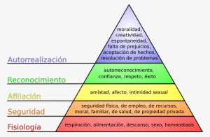 Pirámide De Maslow - Maslow's Hierarchy Of Needs