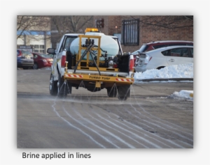 Worth One's Salt - Lake Wingra