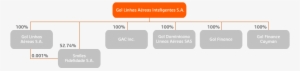 About Gol - Corporate Structure - Parallel