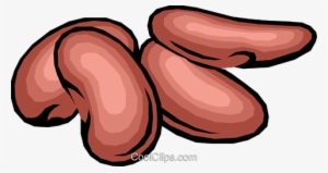 Frijoles Libres De Derechos Ilustraciones De Vectores - Kidney Beans