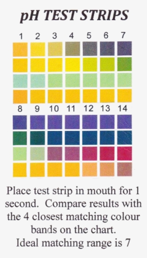 Ph Test Strips Png - Labrat Supplies Plastic Ph Test Strips