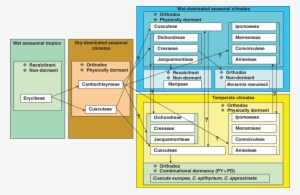 Proposed Evolutionary Change Of Seed Dormancy With - Diagram