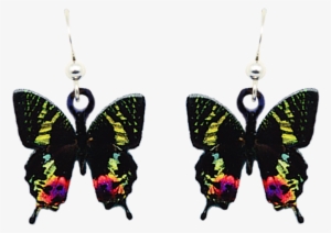 Sunset Moth - Portable Network Graphics