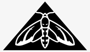 Hawk Moth Brewery & Beer Parlor