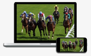 Live Horse Racing On Dish - Coast Guard Rank O-2 Lieutenant Junior Grade Sticker