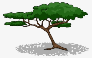 Acacia Tree Sprite 002 - Acacia Tree Clip Art Free