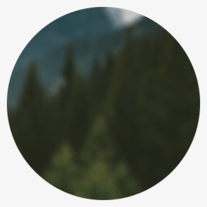 V Sh Sl 3 Circle - Circle