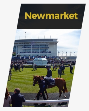 The Pony Club In Partnership With Qipco British Champions - The Pony Club