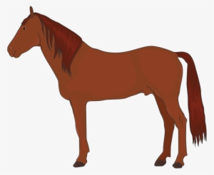 Cavalo - Лошадь Вектор Пнг