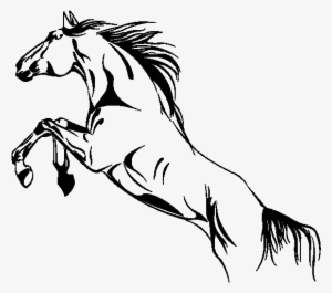 Compre Junto - Horse