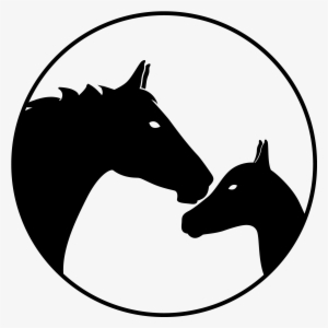Horses & Foals - Horse