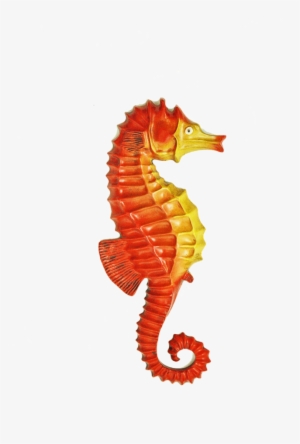 Cavalo Marinho Em Fibra Ref - Cavalo Marinho