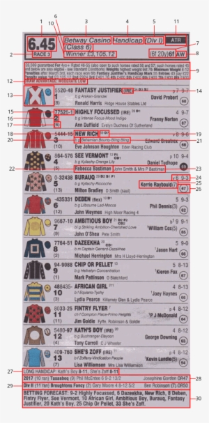 Racing Post Racecard Image - Racing Post Race Card Explained