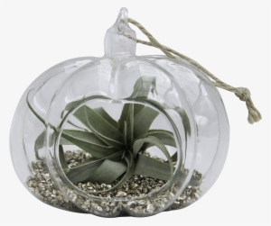 Quick View - Pumpkin