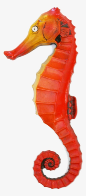 Cavalo Marinho P Em Fibra Ref - Fundo Do Mar Cavalo Marinho Png