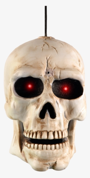 Demo Video Contact Us Enlarge Photo - Potomac Banks Bundle: 2 Items - Singing Animated Skull