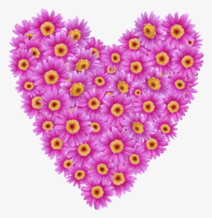 Daisies, Heart, Valentine, Romantic, Floral - Heart