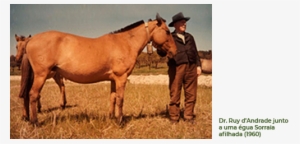 A A - I - C - S - Foi Constituída Em 1994 Por Iniciativa - Sorraia