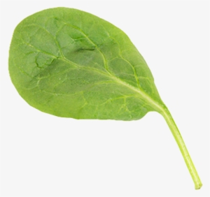 Award Winning Innovation - Home Page