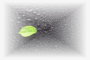 Lluvia - Memory