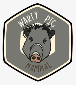 Visit The Zoo And Collect This Animal's Badge In Our - Domestic Pig