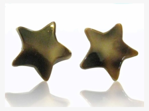 Oído Shell Enchufa Patrón De Estrella Blanca Marrón