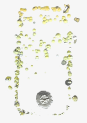 Whoosh Készülékfertőtlenítő Termékek - Chain