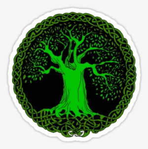 Celtic Tree By Icefaerie - Black And White Tree Of Life