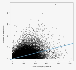 Relationship Between Direct Line Pedigree Size And - Diagram