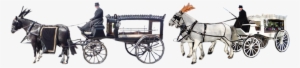 01294 552213 - Horse And Carriage Png