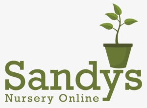 Sandys Nursery Online - Rainbow Comedy Playhouse