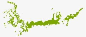 Fire Chief Arborvitae Grows Well In Zone 5b - Art