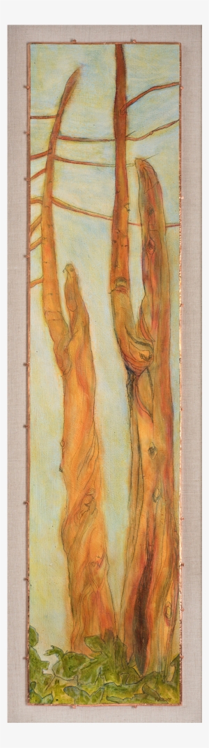 Arborvitae Vii, 49"
