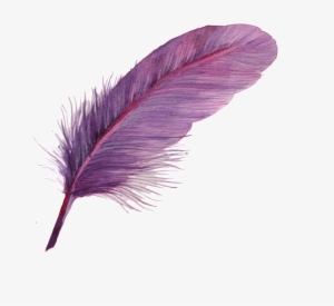 Can Purple Feather Transparent Decorative - Pluma Acuarela Png