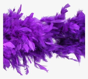 Image - Hayes Specialties Corp. Purple Feather Boa