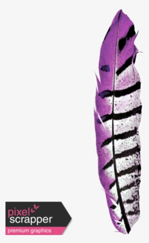 Kenya Elements Feather Purple - Ptm Images Bird Feathers Ii Graphic Art Plaque