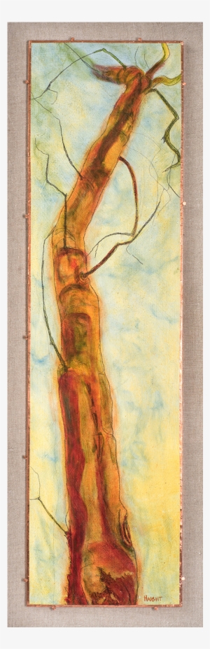 Arborvitae Xii, 38" - Arborvitae