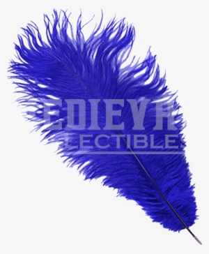 Regal Blue Ostrich Feather Plume - Plume Feathers Png