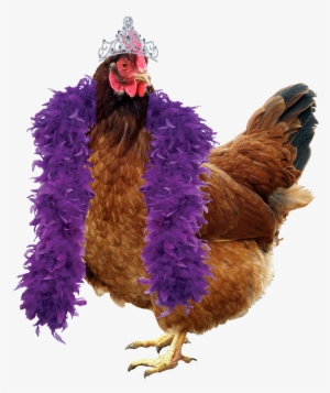 One Hen Per Person - Chicken