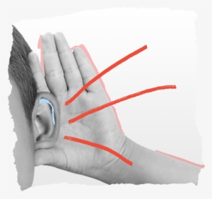 Respeto, Coherencia Y Experiencias Concretas - Illustration