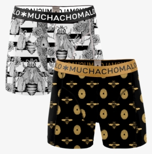 Boys 2-pack Short Beehive Pinata - Muchachomalo Men Tight Swimshort