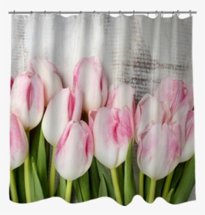 Beautiful Pink And White Tulips On Wooden Background