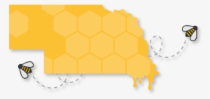 The Hive - Honeycomb