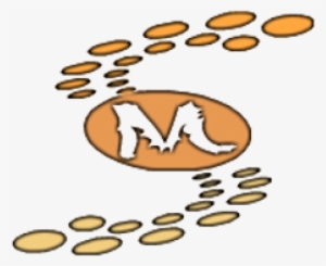 Baby Pink Eyelet 100% Cotton Velvet Curtain Absolute - Curtain